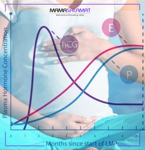 تغییرات هورمونی در دوران بارداری نمودار تغییر
