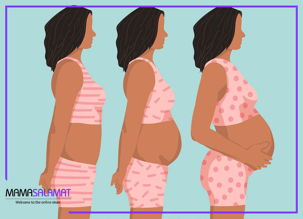 تغییرات بدن در دوران بارداری تصویر خانم باردار در هر سه ماهه بارداری
