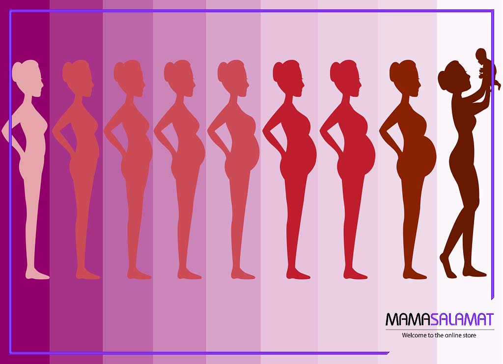 تغییرات بدن در دوران بارداری تغییر در نه ماه بارداری