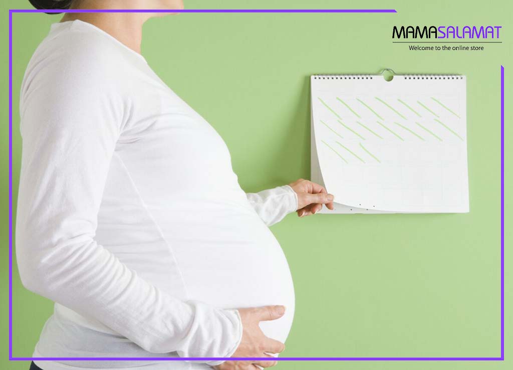 محاسبه هفته های بارداری تقویم دیواری و شکم خانم باردار