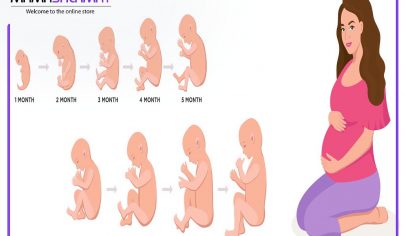 روند رشد جنین تصویر مادر باردار و جنین در حال رشد