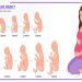 روند رشد جنین تصویر مادر باردار و جنین در حال رشد