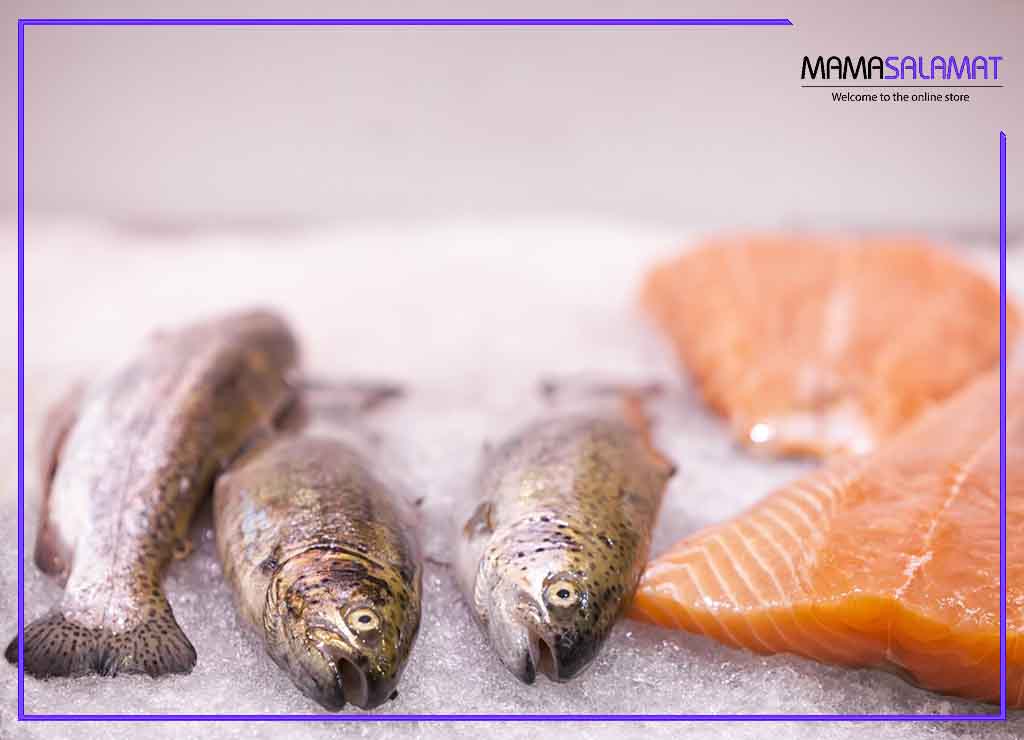 رژیم غذایی مناسب دوران قاعدگی تصویر ماهی منجمد