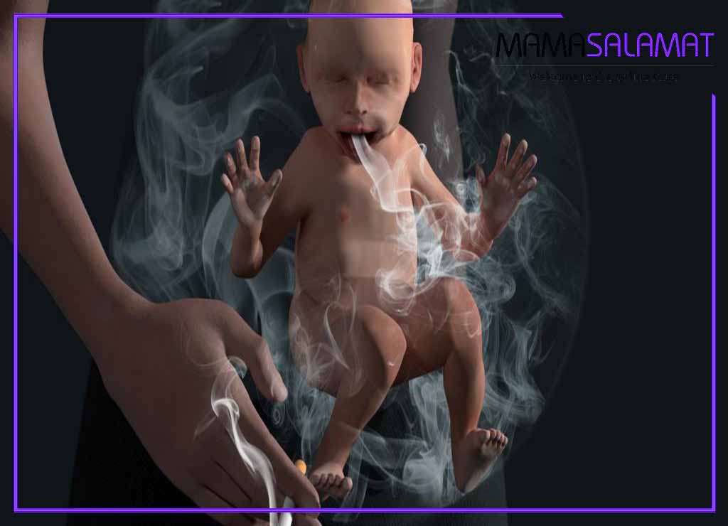 مصرف دخانیات در بارداری پوشیده شدن  جنین در شکم مادر با دود سیگار