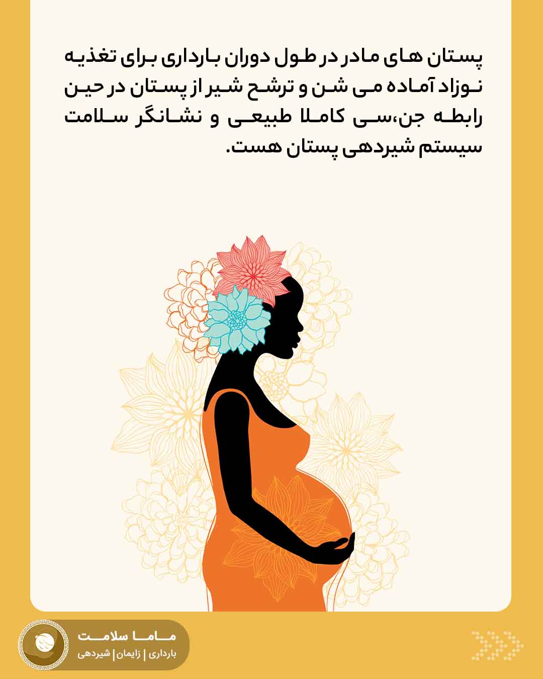 رابطه جنسی در بارداری سیستم شیردهی پستان