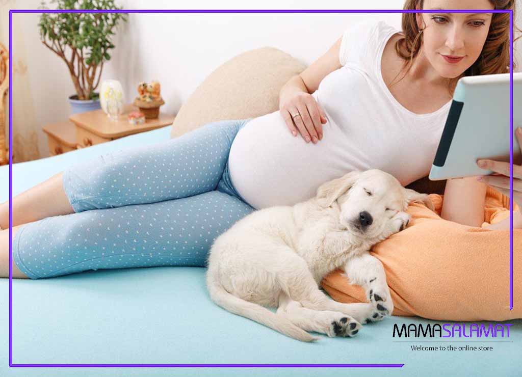 نگهداری از حیوانات خانگی در بارداری سگ کنار خانم حامله
