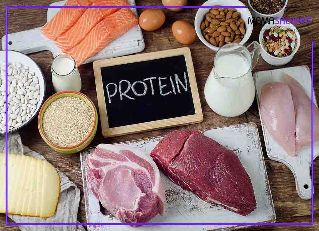 پروتئین در بارداری مواد غذایی حاوی پروتئین