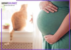 نگهداری از حیوانات خانگی در بارداری خانم باردار و گربه پشت پنجره